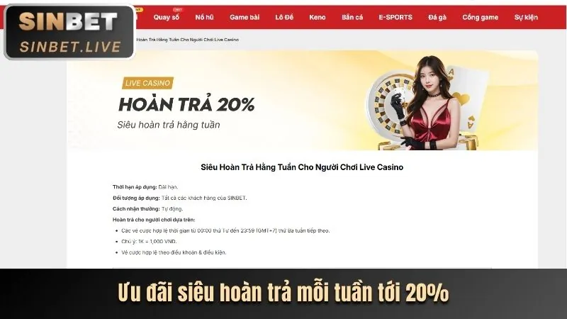 Các loại cookie được sử dụng trên nền tảng 99vz website chính thức